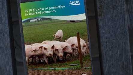 2018 cost of pig production in selected countries